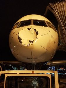 Foto de aviòn golpeado en pleno vuelo. Tomada del Twitter de @realSteveAdams