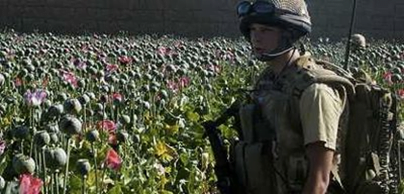 La CIA en Afganistán logró producir la segunda cosecha de opio del mundo.